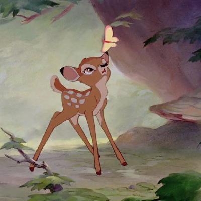 user profile picture