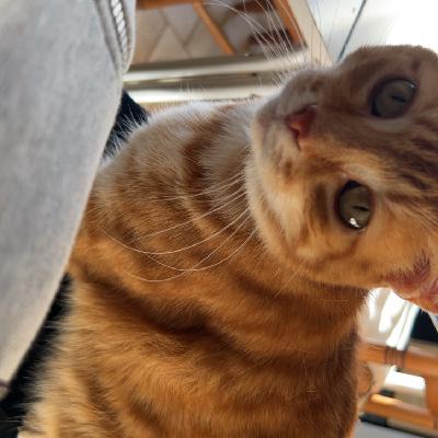 user profile picture