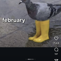 user profile picture