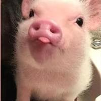user profile picture