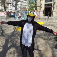 user profile picture