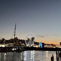 user profile picture