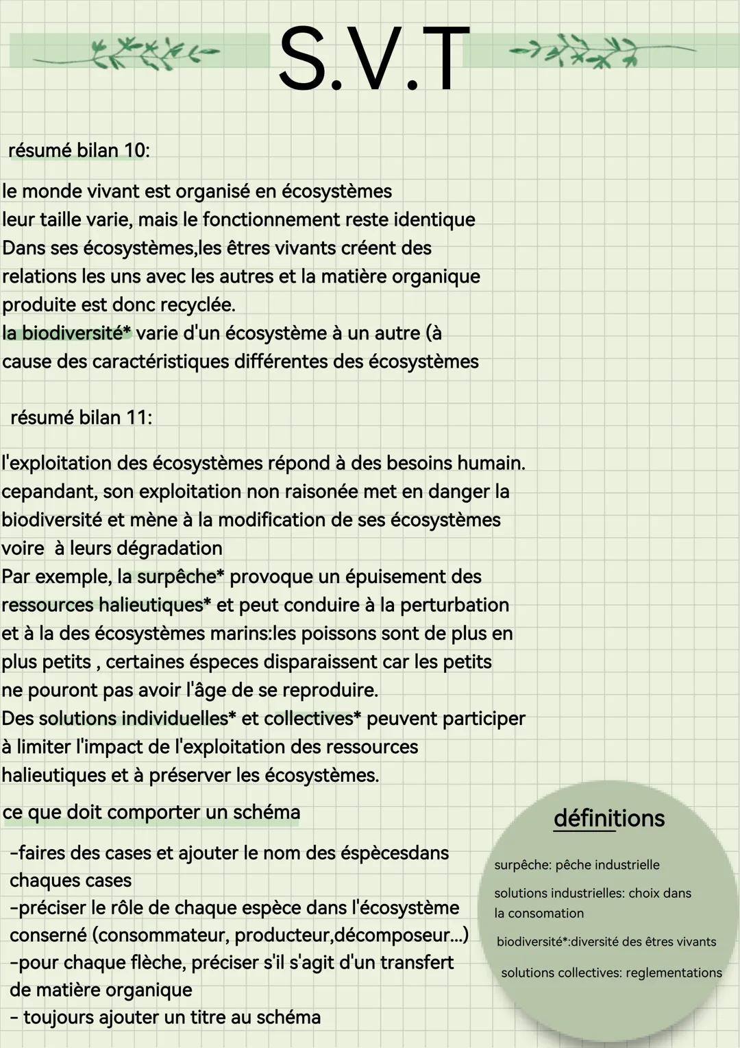 *
yox yar
S.V.T
résumé bilan 10:
le monde vivant est organisé en écosystèmes
leur taille varie, mais le fonctionnement reste identique
Dans