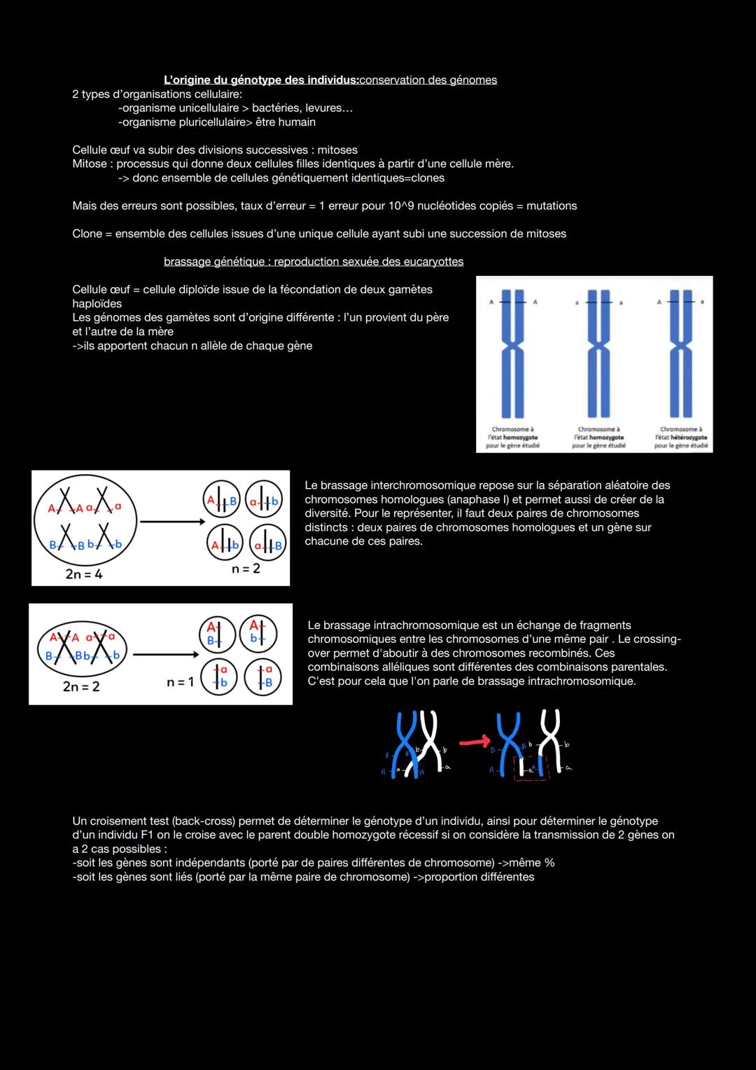 L'origine du génotype des individus:conservation des génomes
2 types d'organisations cellulaire:
-organisme unicellulaire > bactéries, levur