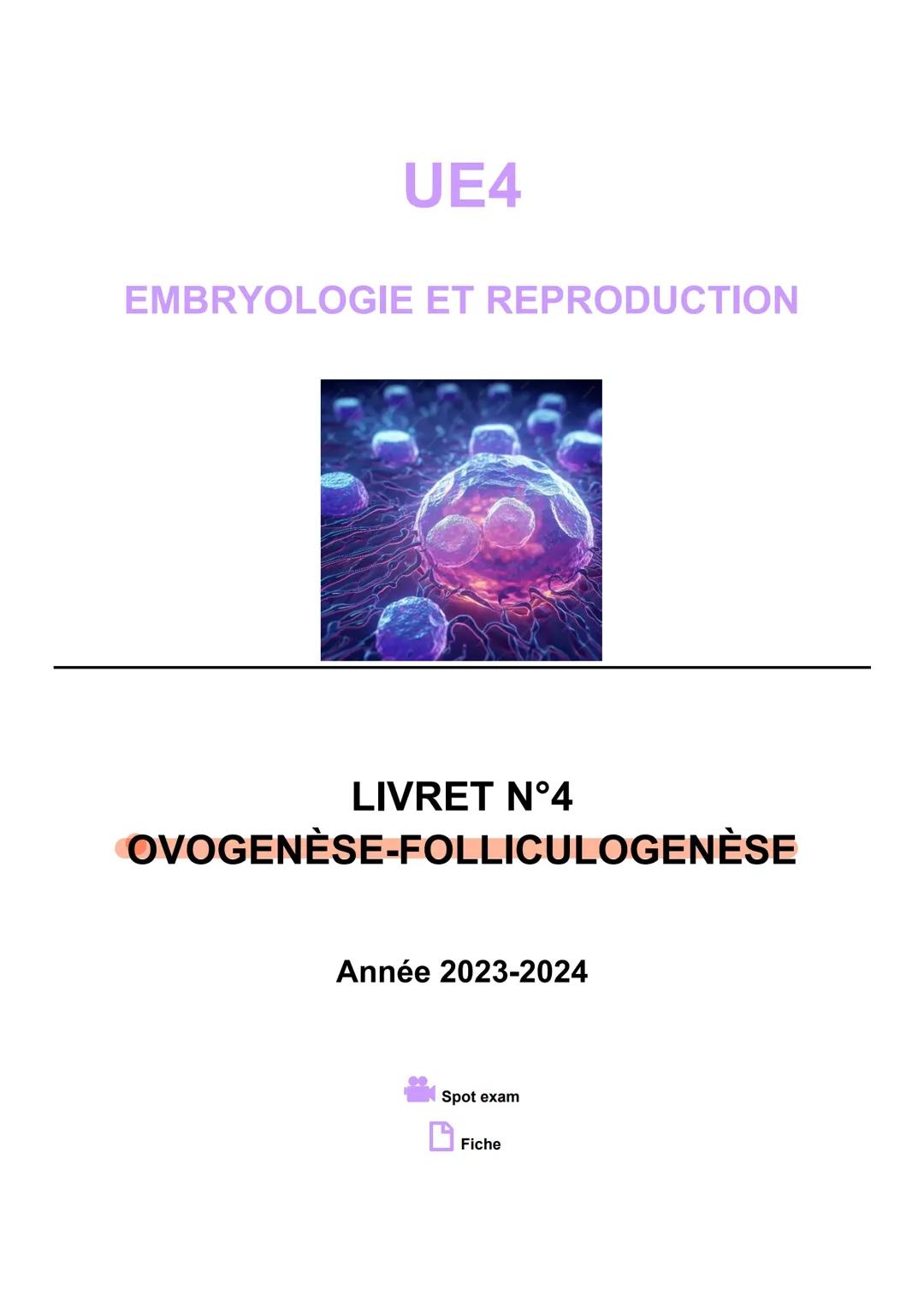 Embryologie - Folliculogenèse