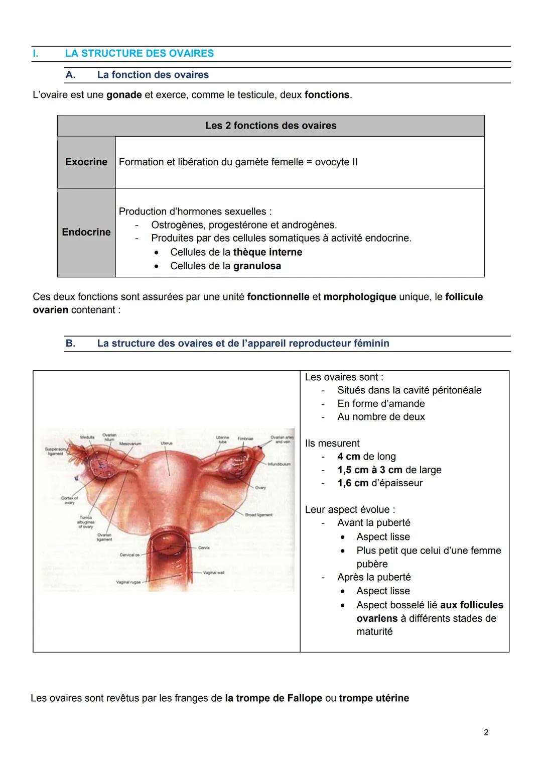 UE4
EMBRYOLOGIE ET REPRODUCTION
LIVRET N°4
OVOGENÈSE-FOLLICULOGENÈSE
Année 2023-2024
Spot exam
Fiche 1 LA STRUCTURE DES OVAIRES
A. La foncti