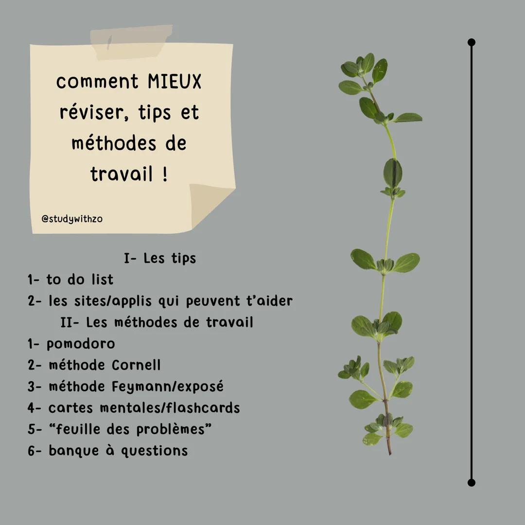 comment MIEUX
réviser, tips et
méthodes de
travail !
@studywithzo
I- Les tips
1- to do list
2- les sites/applis qui peuvent t'aider
II- Les