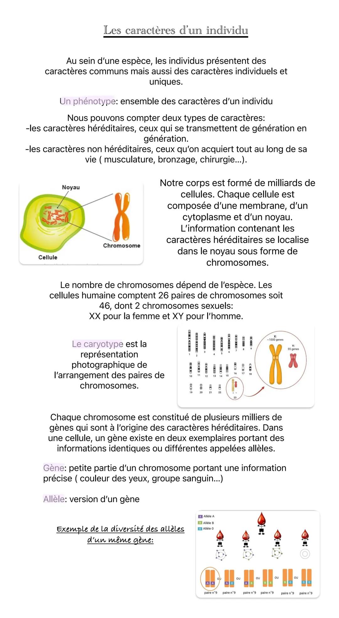 L’information génétique