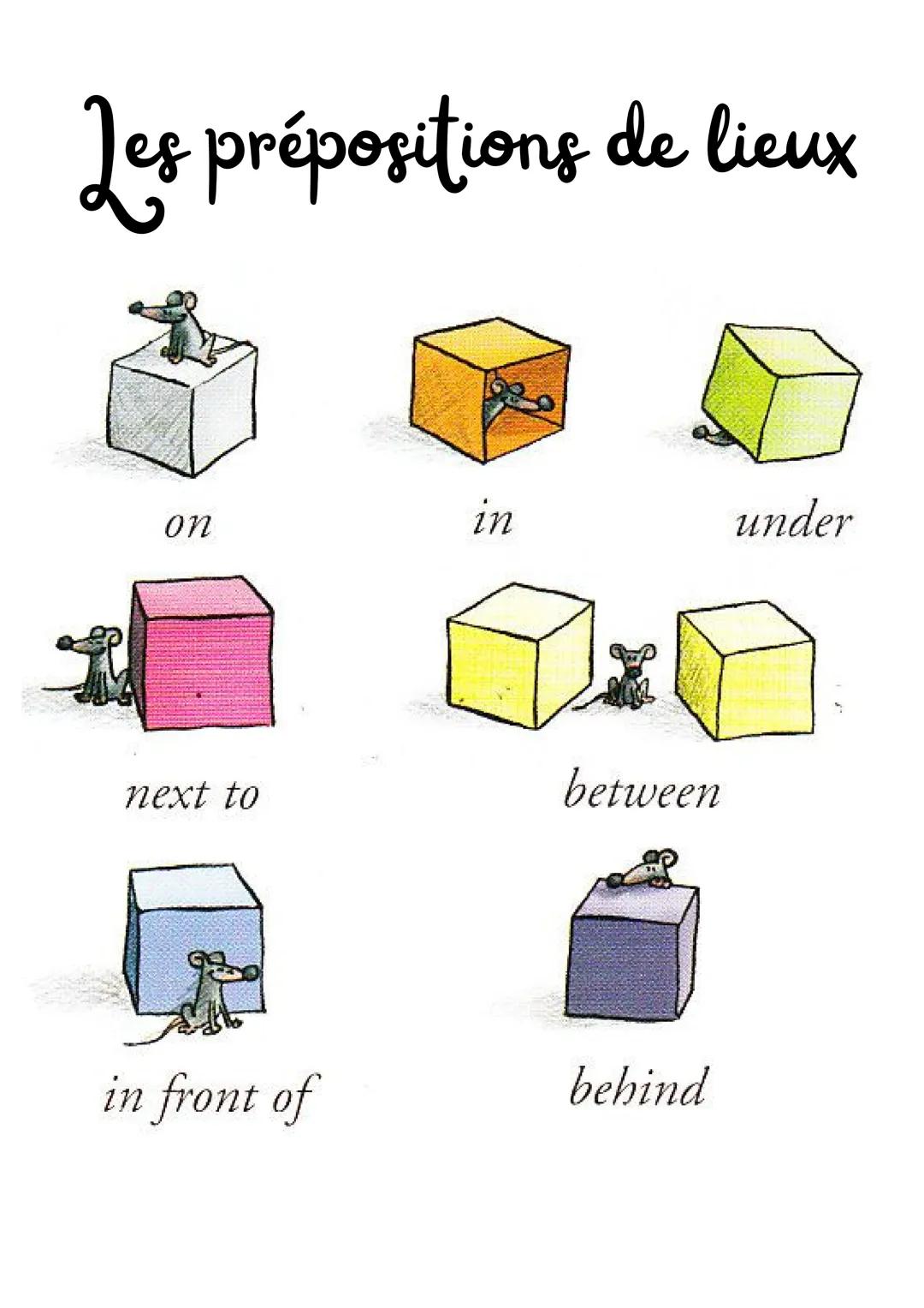 Les prépositions de lieux
on
next to
in front of
in
DOL
between
behind
under Exercice
The mouse is on the box.
The mouse is next to the box.