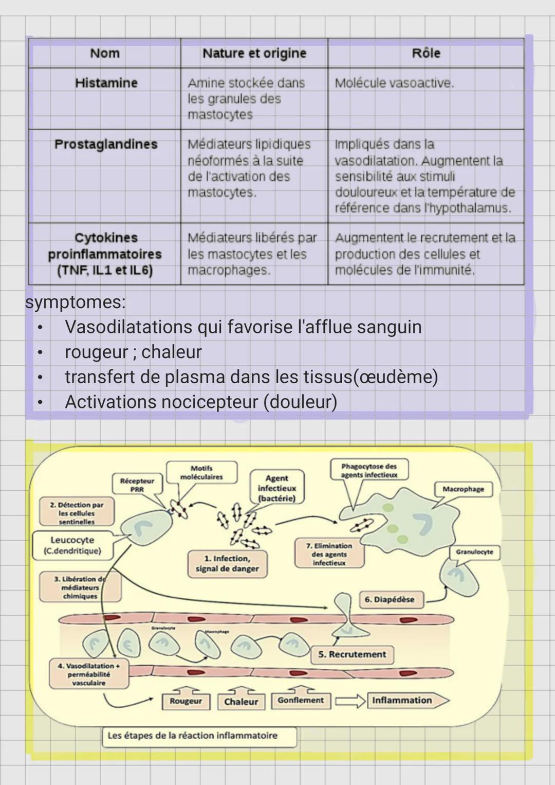 organes de l'immunité innée:
1. peau barrière physique qui protège les tissus interne.
2. cellules sentinelle (cf en haut) + cellule dentriq