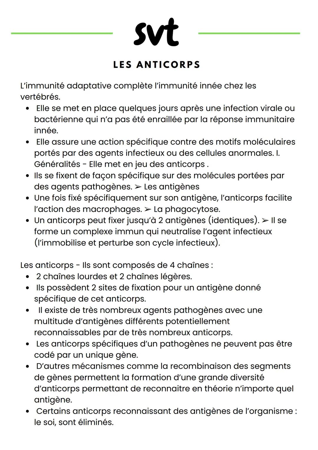 # svt
LES ANTICORPS
L'immunité adaptative complète l'immunité innée chez les
vertébrés.
* Elle se met en place quelques jours après une