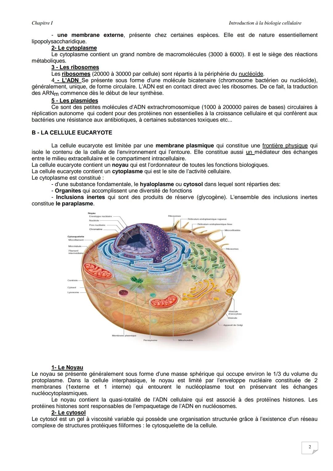 Chapitre I
Introduction à la biologie cellulaire
INTRODUCTION A L'ETUDE DE LA CELLULE
I-ORGANISATION DES CELLULES
La cellule représente l'un