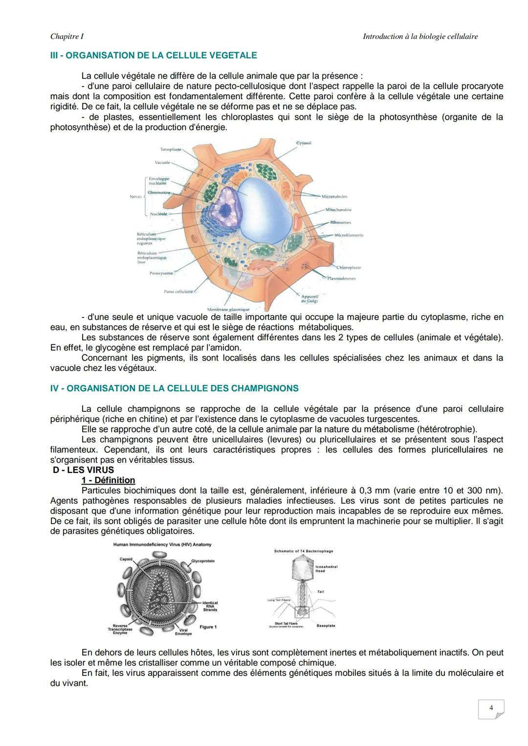 Chapitre I
Introduction à la biologie cellulaire
INTRODUCTION A L'ETUDE DE LA CELLULE
I-ORGANISATION DES CELLULES
La cellule représente l'un