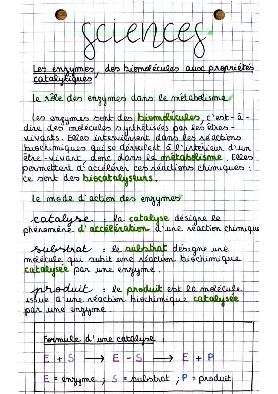 Sciences
Les enzymes, des biomolécules aux propriétés
catalytiques
le rôle des enzymes dans le métabolisme
Les enzymes sont des biomolecules