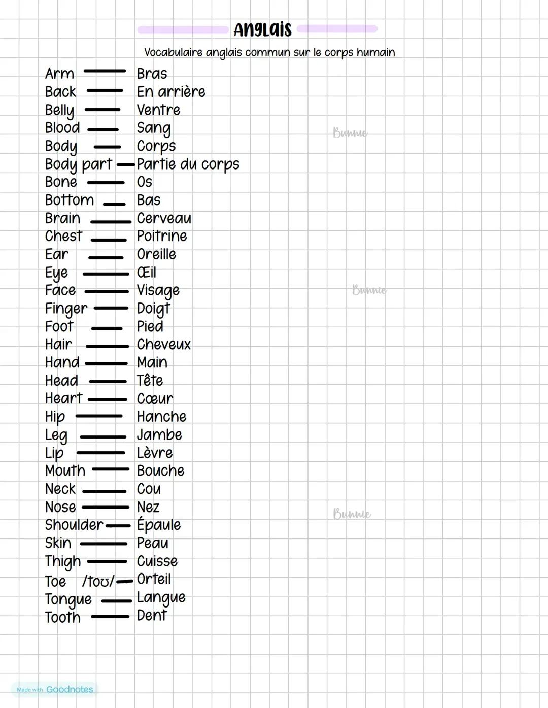 Vocabulaire commun sur le corps humain