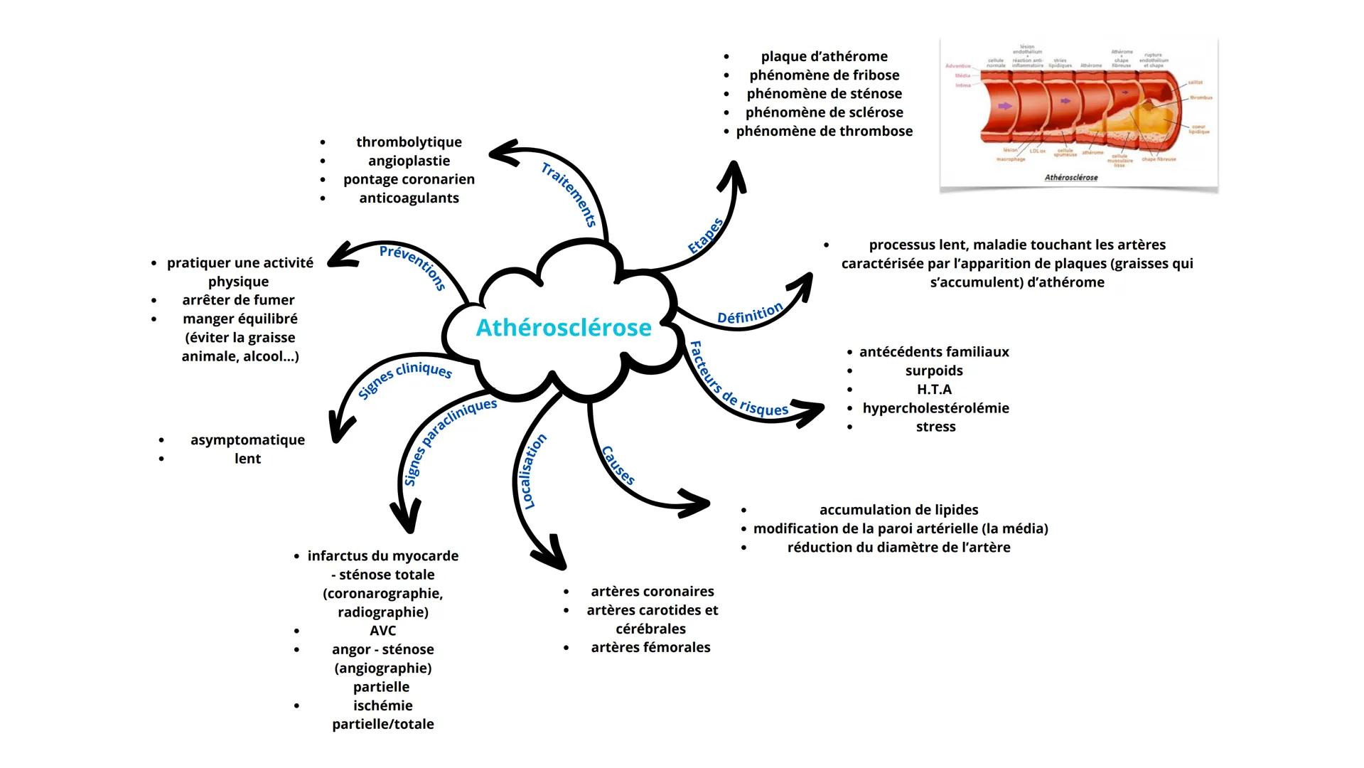 pratiquer une activité
physique
arrêter de fumer
manger équilibré
(éviter la graisse
animale, alcool...)
asymptomatique
lent
thrombolytique