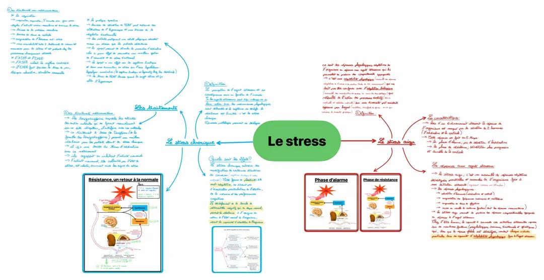 Le stress