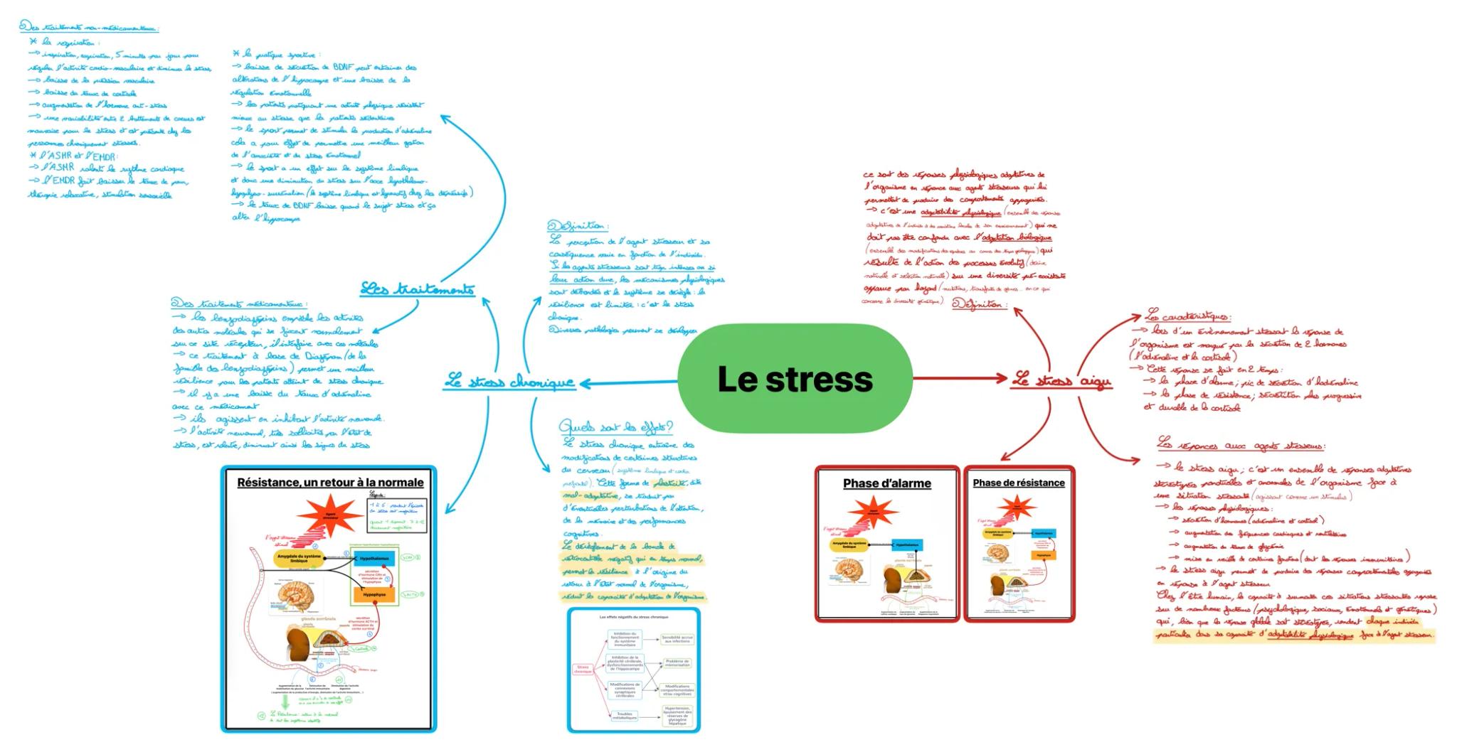 Des traitémate mon-medicamentiam:
* la regrisation
inspiration, sage jour pou
eguen l'adinité cardio-maculaire et diminues to stay
* baisse
