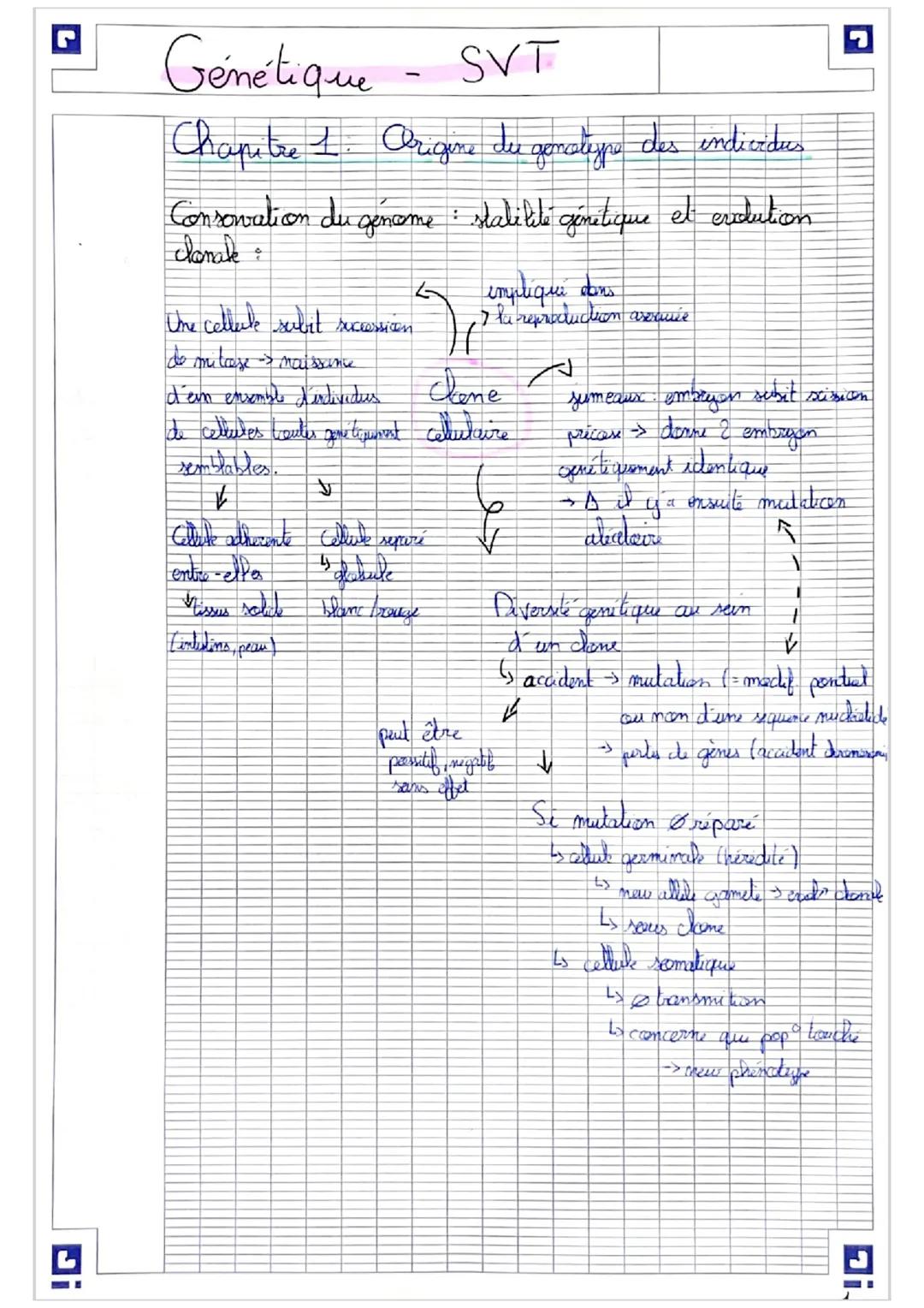 Acident's génétiques meiose participent à la discsification
gename
du
Gessing
cover
A
B
imegal.
.a
b
=> 2 chromosomes homologues qui sont ap