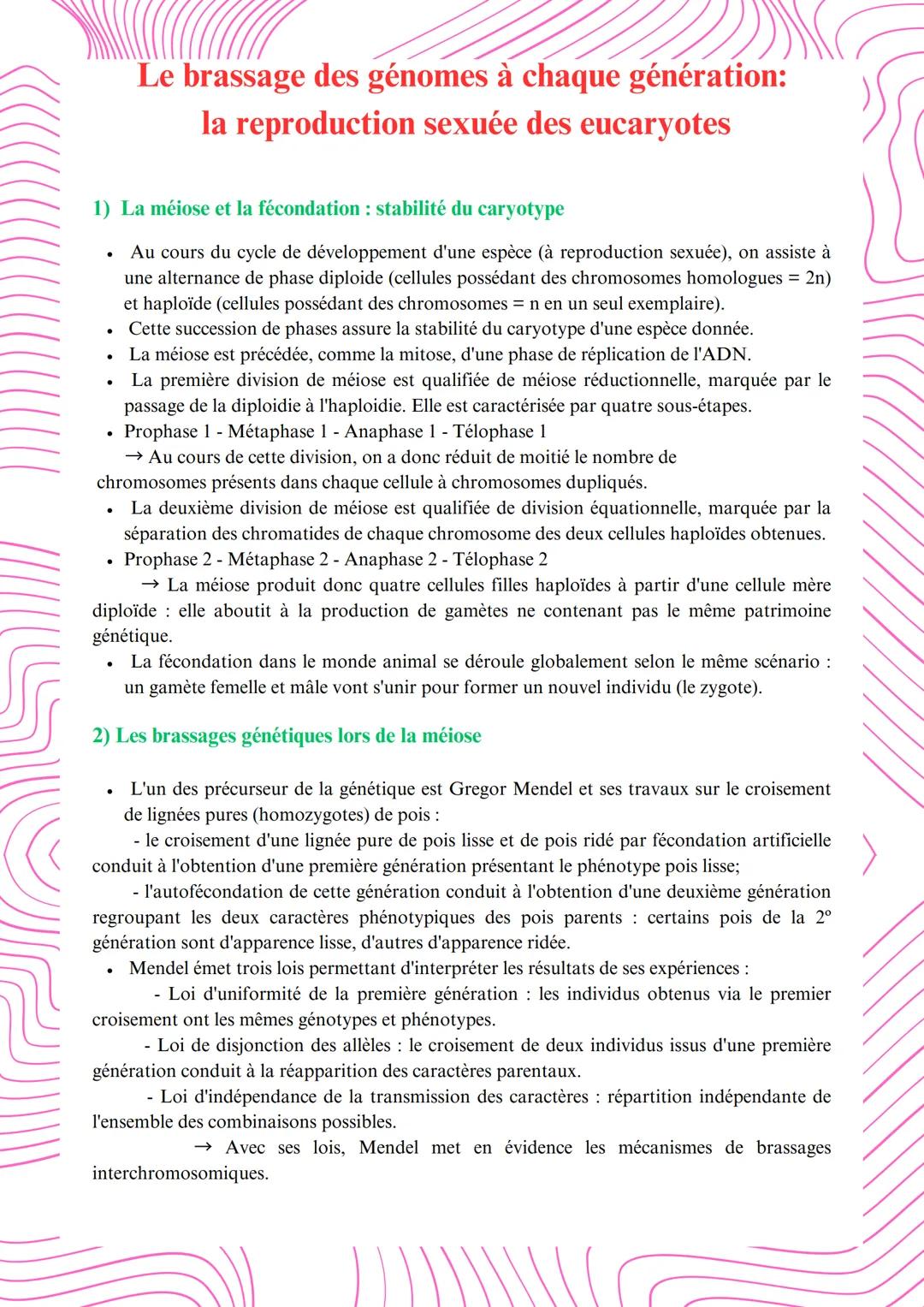 SVT le brassage des génomes