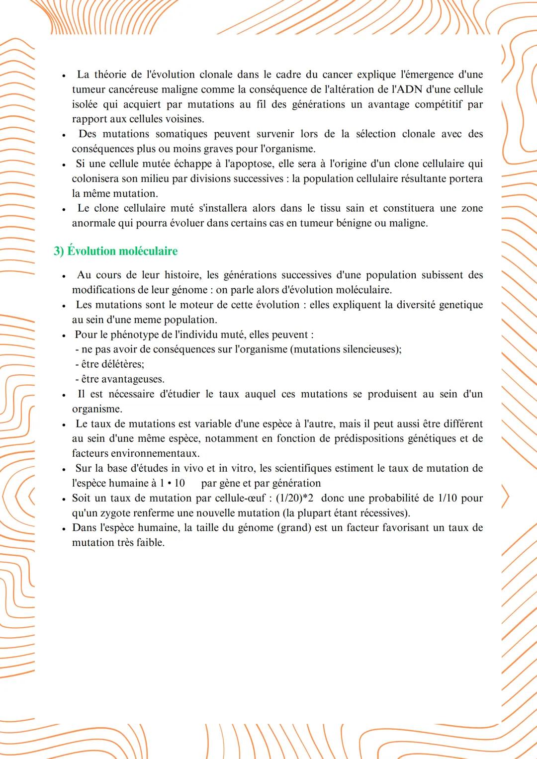 # La conservation des génomes: stabilité génétique et
évolution clonale
1) Du génotype au phénotype: évolution clonale
- Le cycle cellulai