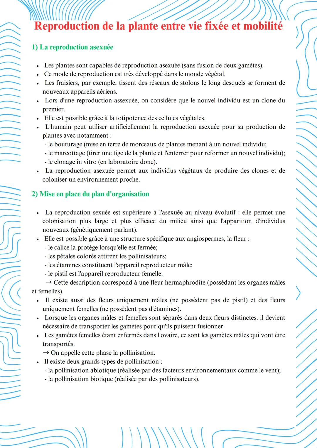 # Reproduction de la plante entre vie fixée et mobilité
1) La reproduction asexuée
* Les plantes sont capables de reproduction asexuée (