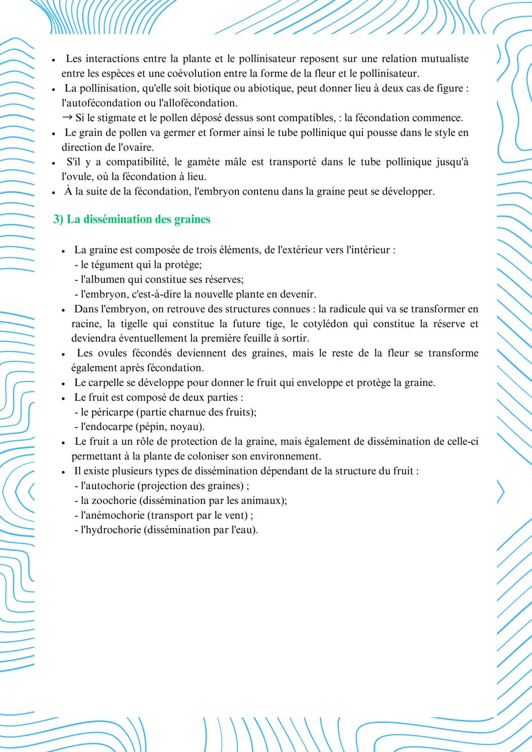 # Reproduction de la plante entre vie fixée et mobilité
1) La reproduction asexuée
* Les plantes sont capables de reproduction asexuée (