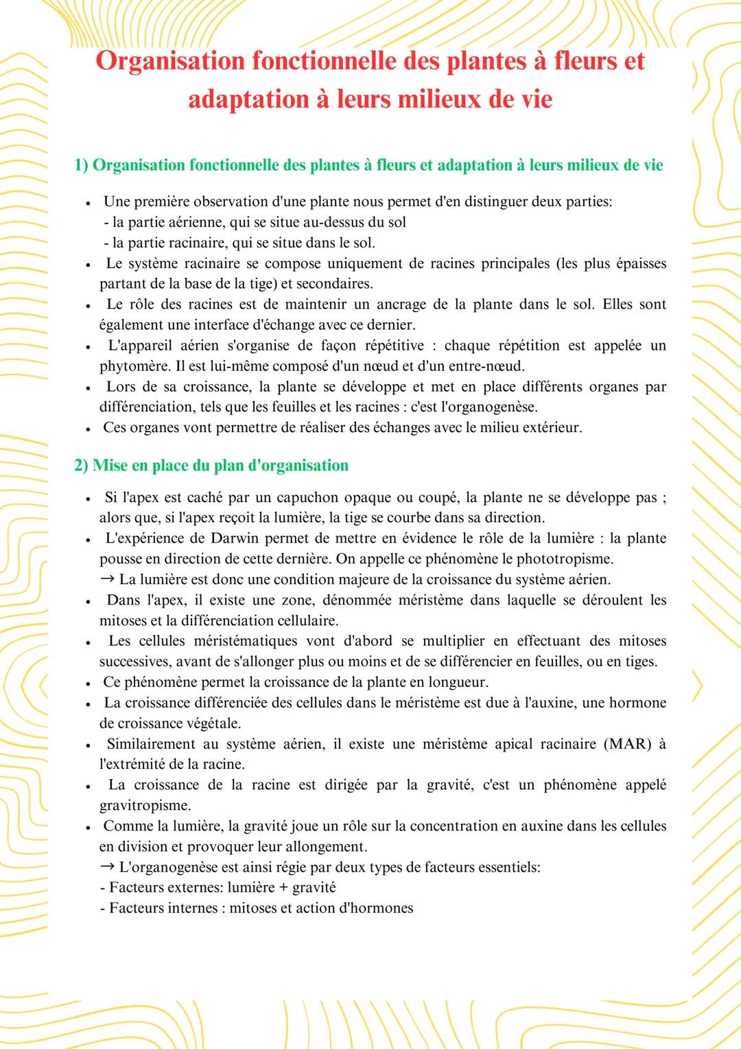 Organisation fonctionnelle des plantes à fleurs et
adaptation à leurs milieux de vie
1) Organisation fonctionnelle des plantes à fleurs et a