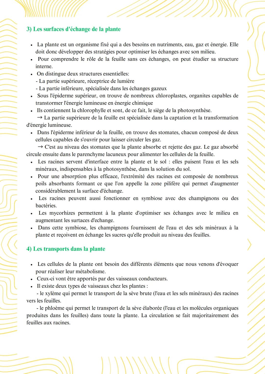 Organisation fonctionnelle des plantes à fleurs et
adaptation à leurs milieux de vie
1) Organisation fonctionnelle des plantes à fleurs et a