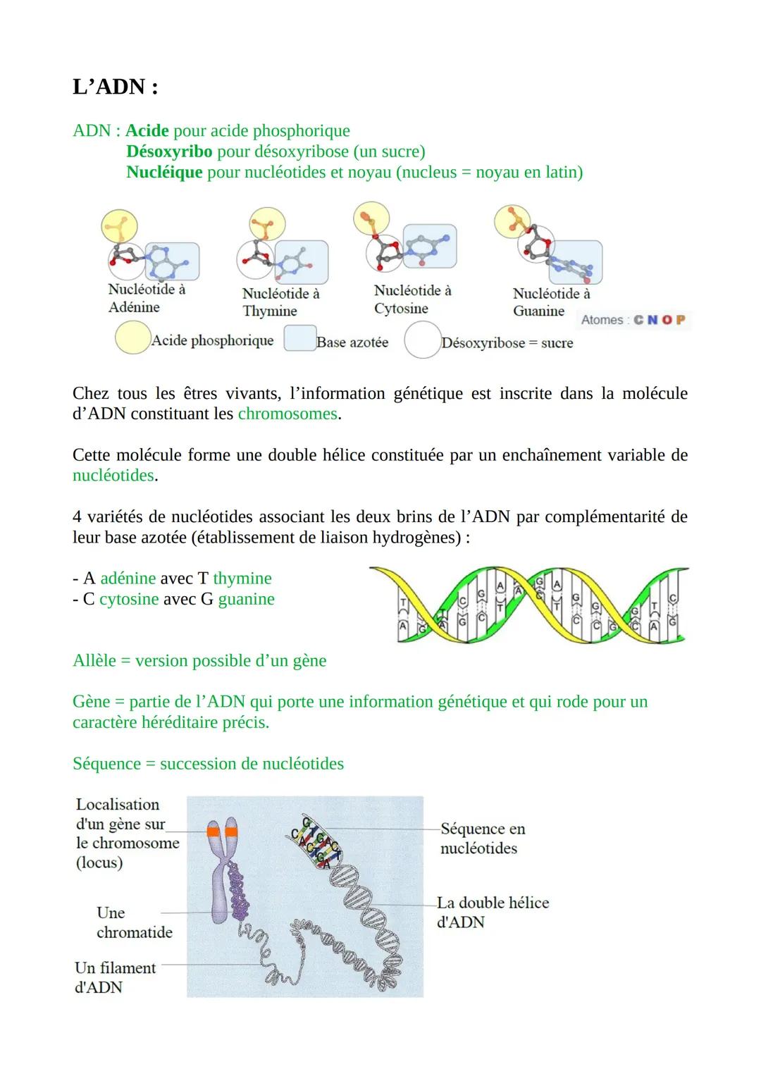 # La cellule :
La cellule est l'unité structurale du vivant.
Membrane cytoplasmique
Cytoplasme
Organisme constitué d'une seule cellule =
