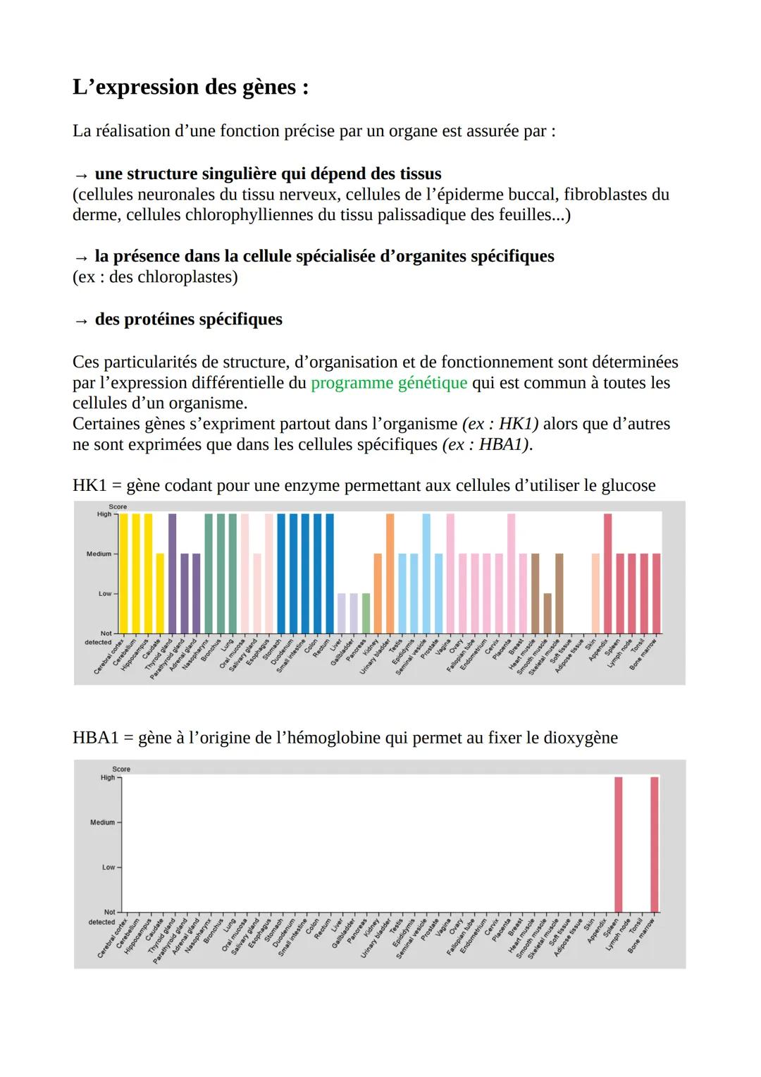 # La cellule :
La cellule est l'unité structurale du vivant.
Membrane cytoplasmique
Cytoplasme
Organisme constitué d'une seule cellule =