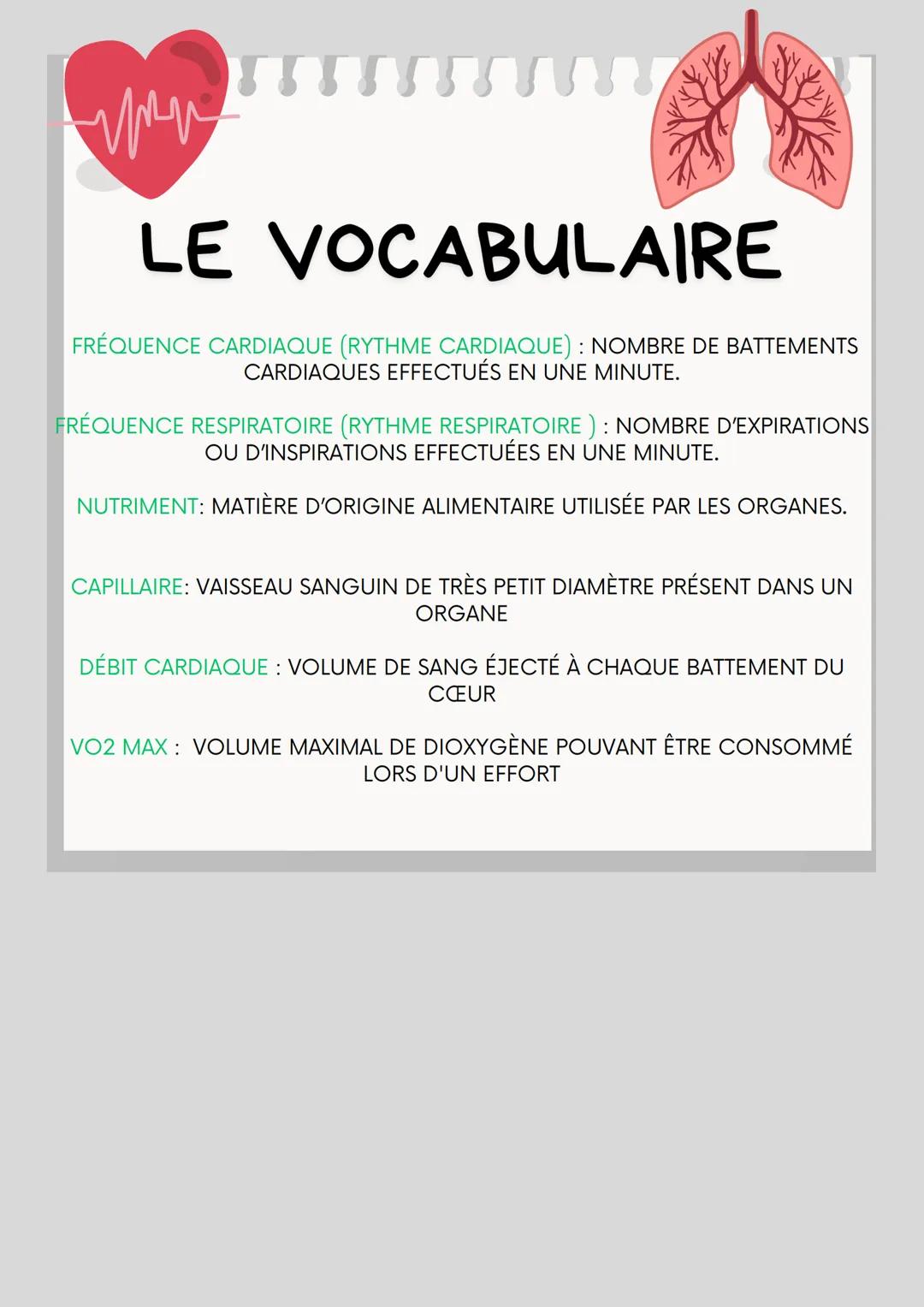 Le fonctionnement
de l'organisme
pendant un effort
physique.
||||
Lors d'une activité physique, la
fréquence cardiaque, la fréquence
respira