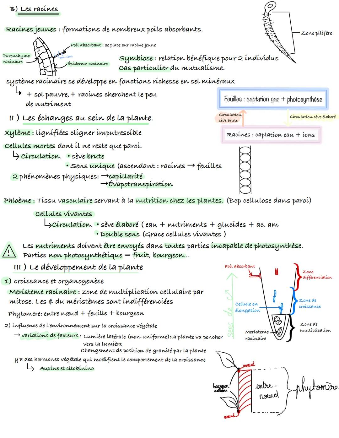 Chapitre 1: l'organisation fonctionnelle des plantes à fleurs.
Pbq: en quoi des l'organisation plantes à fleurs est-elle adapté à leurs vil