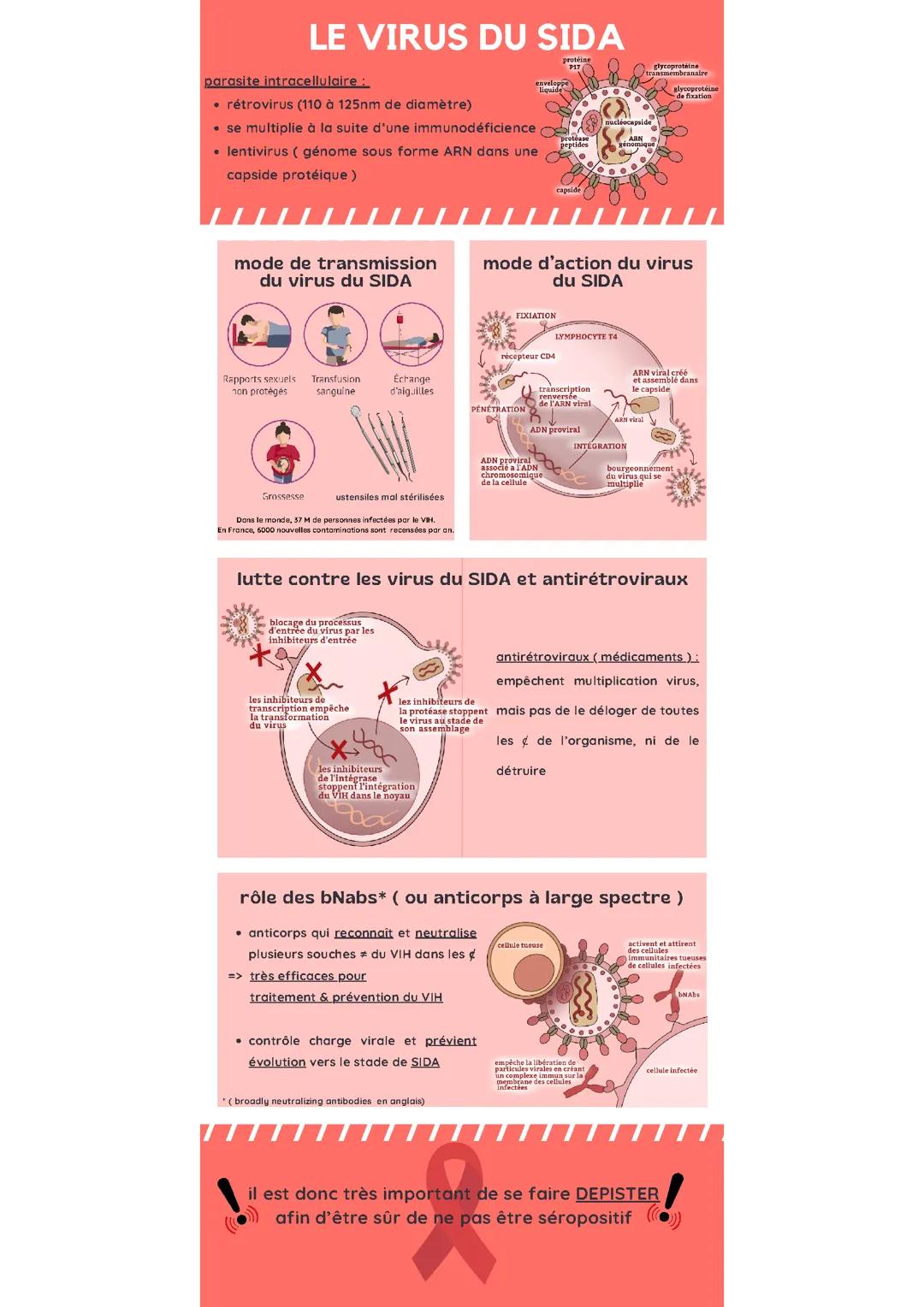 Infographie VIH ( SIDA )