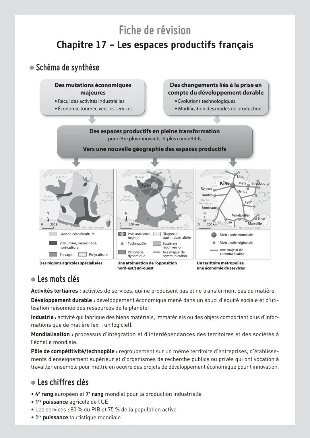 Fiche de révision
Chapitre 17 - Les espaces productifs français
• Schéma de synthèse
Des mutations économiques
majeures
• Recul des acti