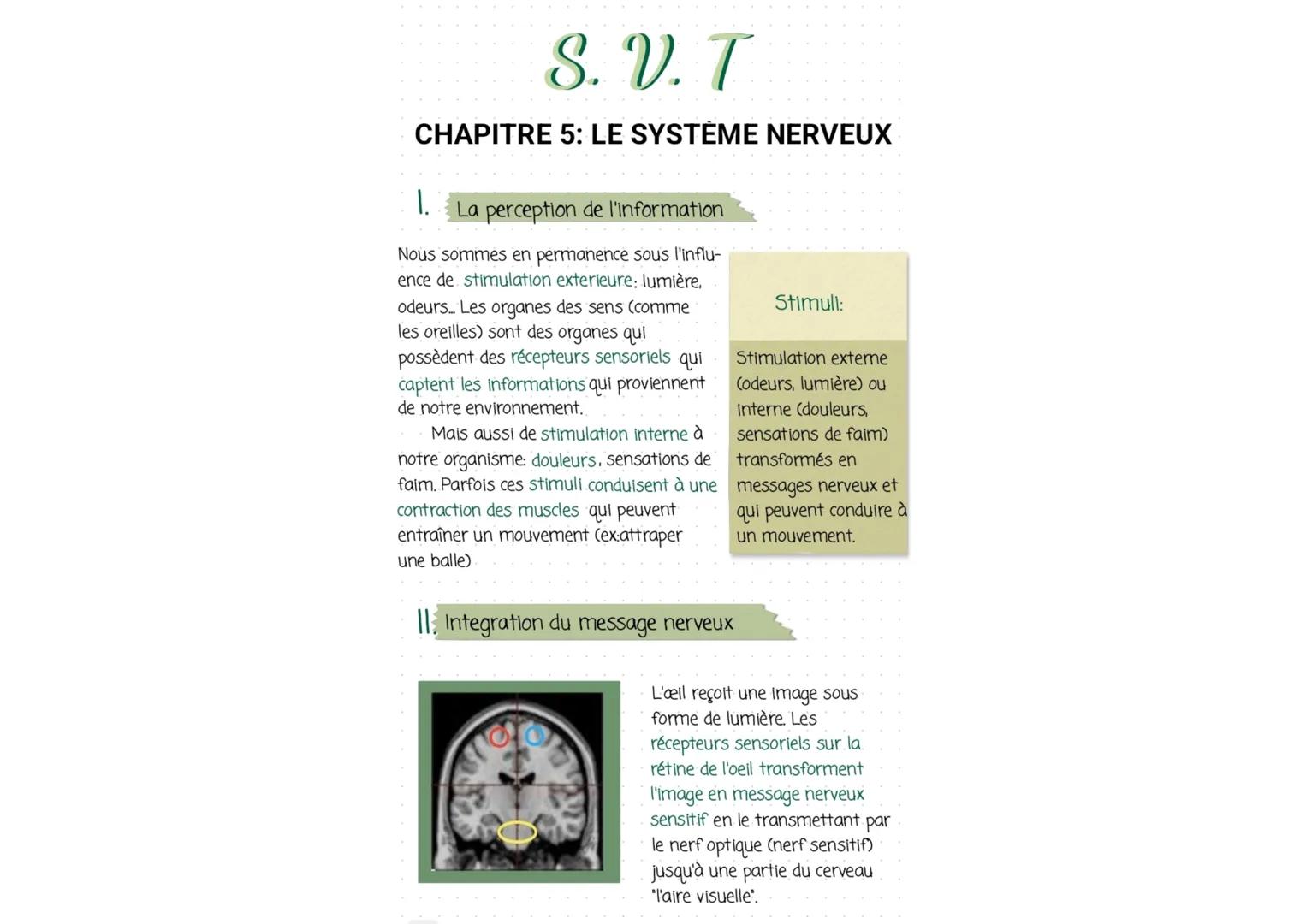 S..V..T
CHAPITRE 5: LE SYSTÈME NERVEUX
1. La perception de l'information
Nous sommes en permanence sous l'influ-
ence de stimulation exterie