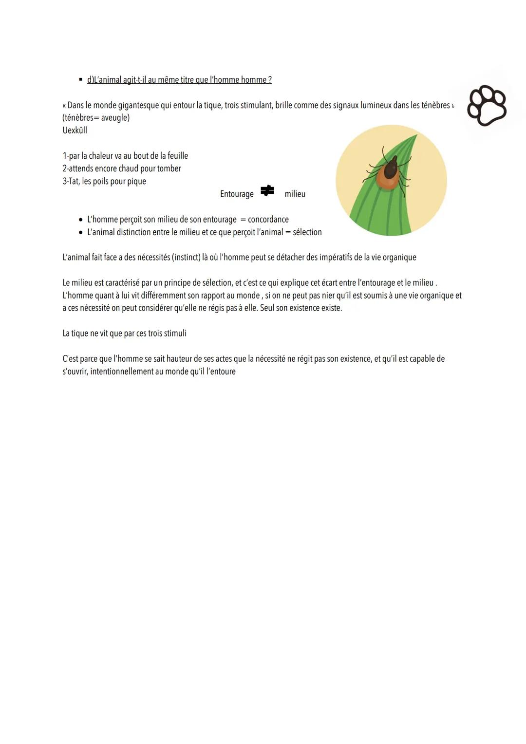 Intro Exercice du dessine toi, toi-même
<< Dessine-toi toi-même » impossible car on ne peut s'auto représenter, on est jamais uniquement «<