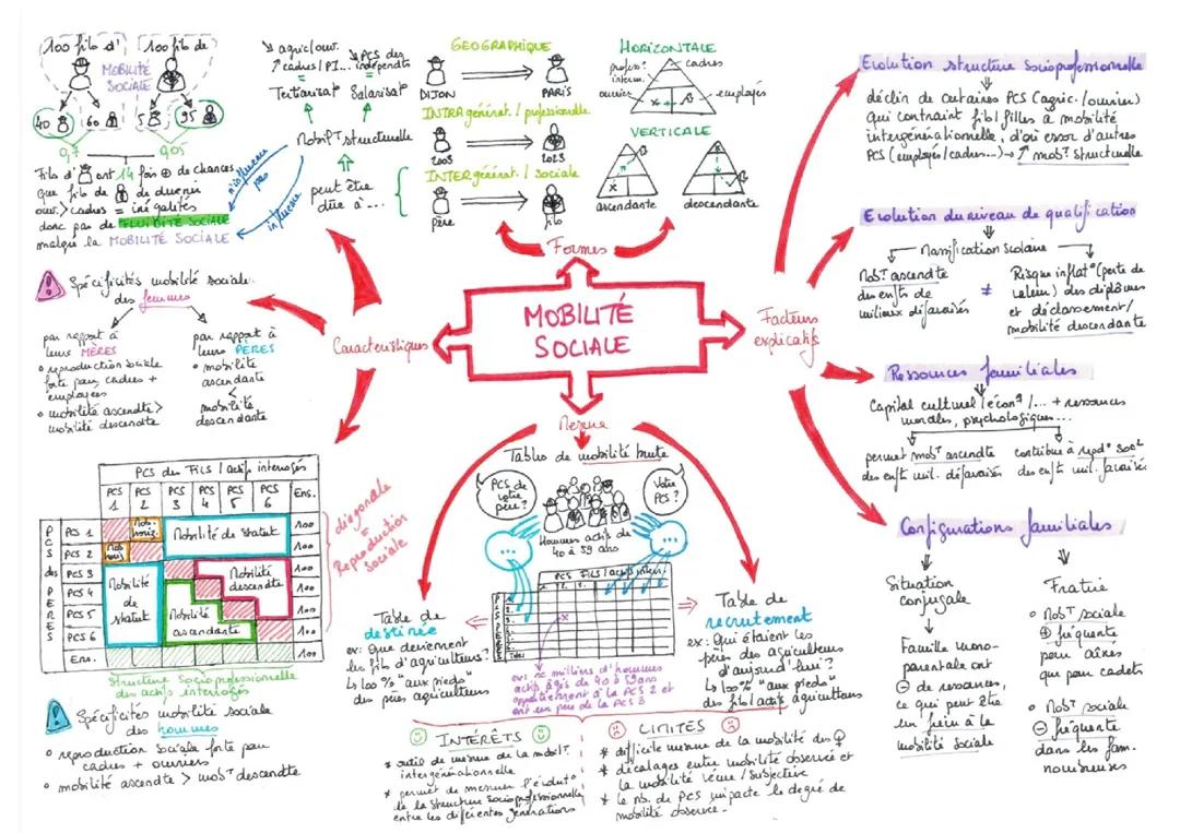 Carte Mentale mobilité sociale en SES