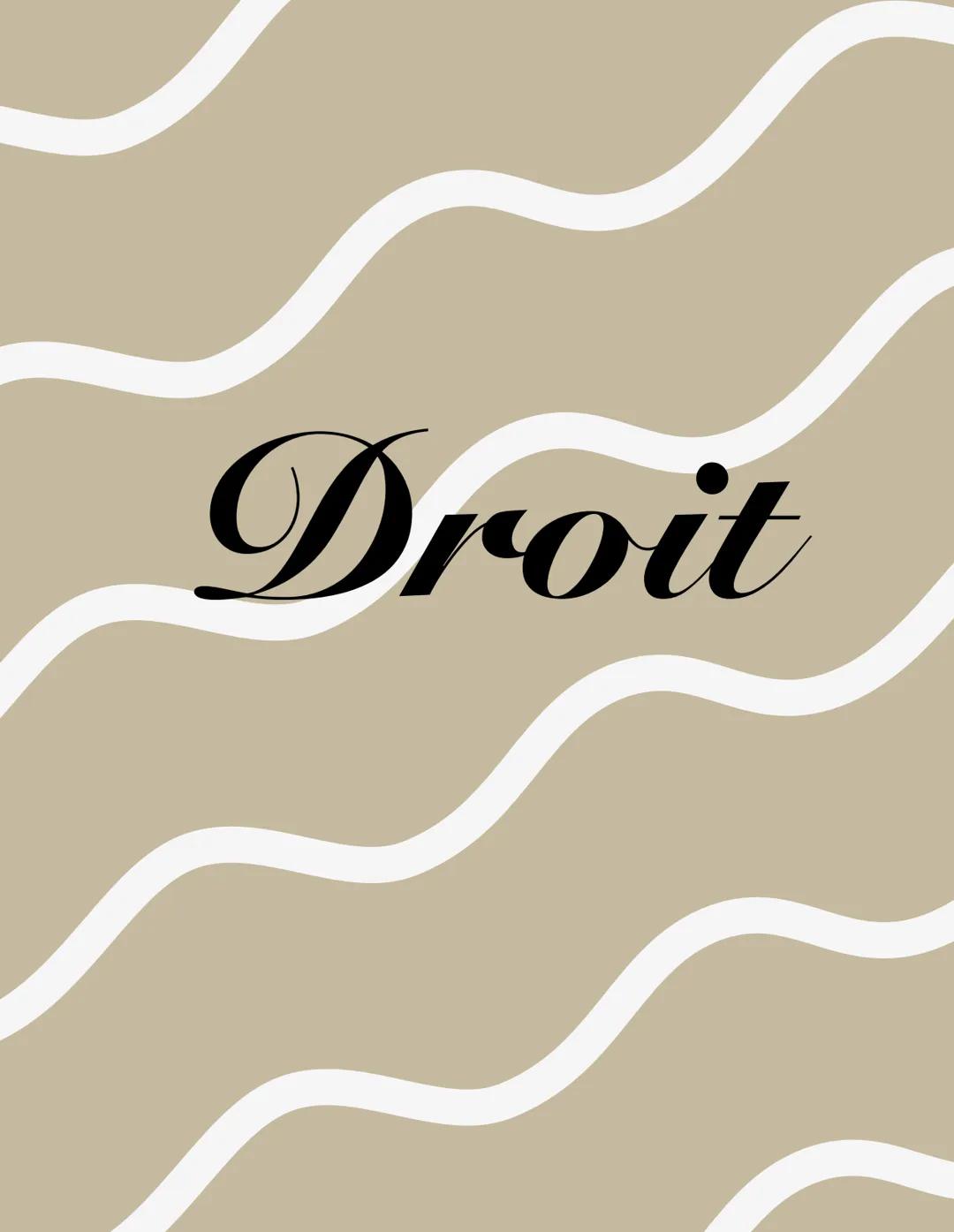 Droit # Les responsabilités civil et pénale
La responsabilité pénale
Lorsqu'un individu à commis une infraction à la loi.
L'infraction devr