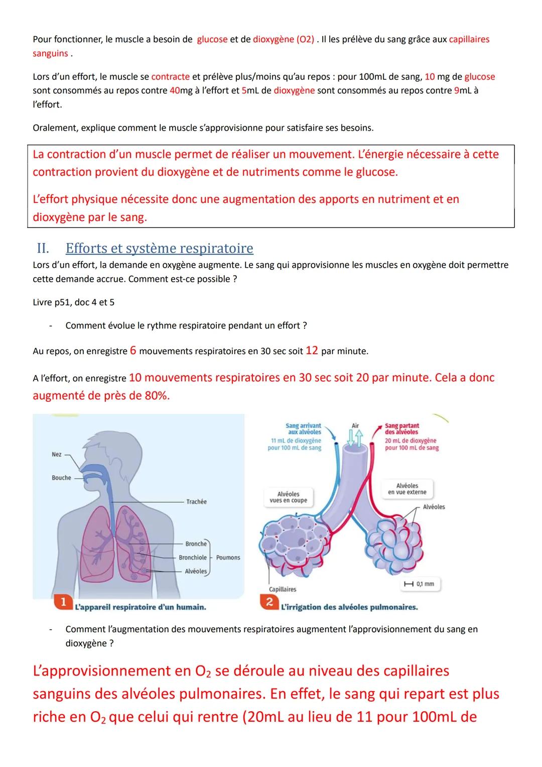 Thème3, chapitre2: Système cardio-respiratoire et effort musculaire
Avant propos, QCM: https://duco.nathan.fr/9782091712529/asset/171258 03