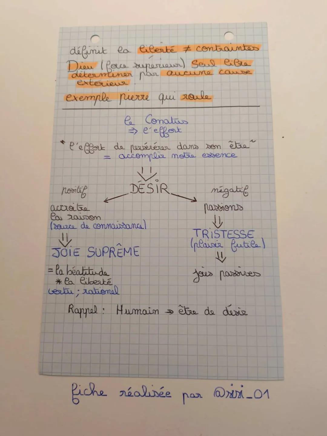 Platon
allégorie de la caverne
XXX
옷
a
le monde intelligible
> les ames contemplent
la
verite
le crai = les idées / formes
» le raile bien,
