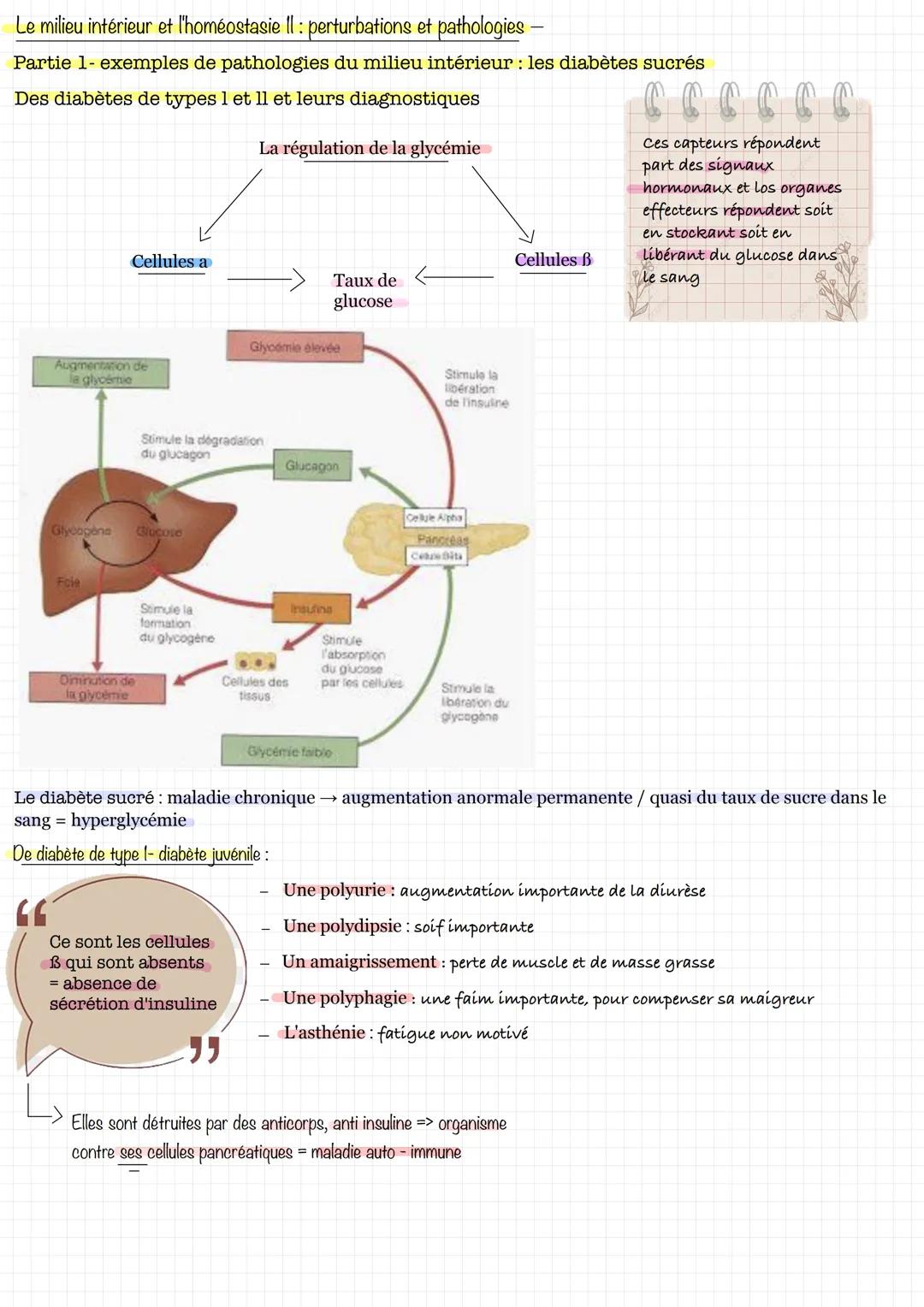 Le milieu intérieur et l'homéostasie II: perturbations et pathologies
Partie 1- exemples de pathologies du milieu intérieur : les diabètes s