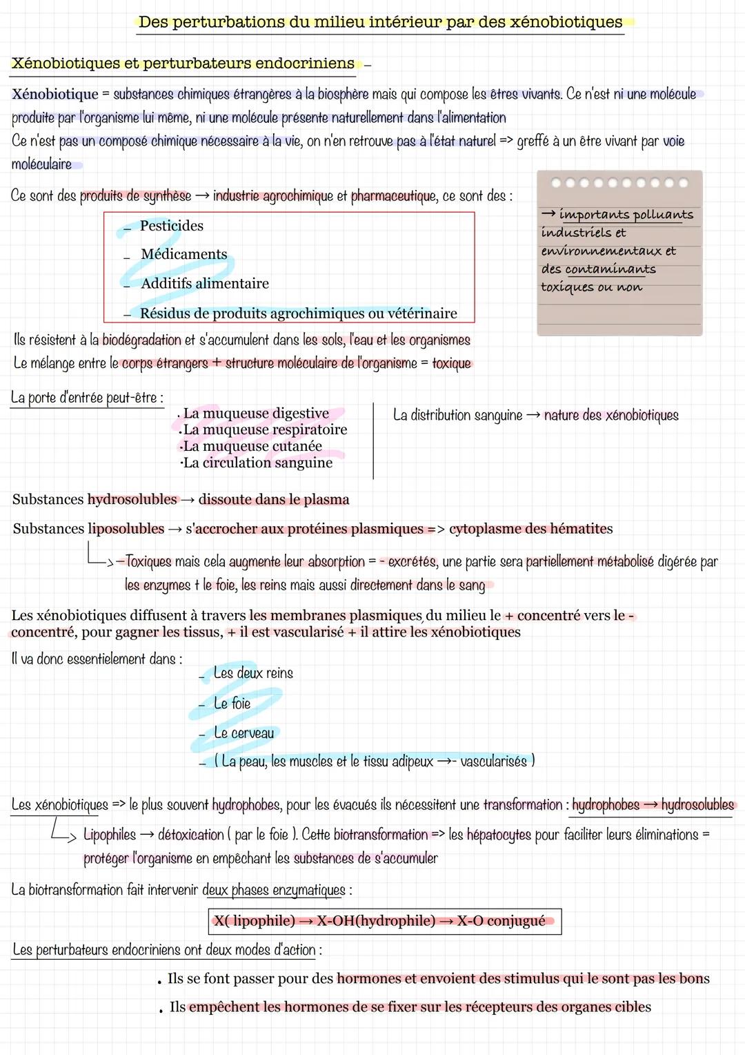 Des perturbations du milieu intérieur par des xénobiotiques
Xénobiotiques et perturbateurs endocriniens
Xénobiotique = substances chimiques