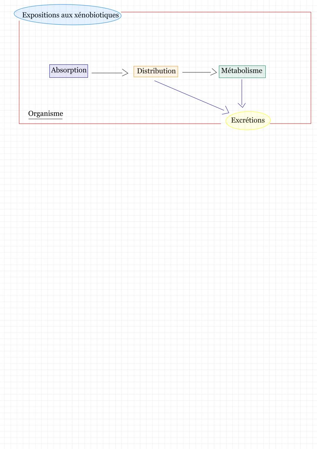 Des perturbations du milieu intérieur par des xénobiotiques
Xénobiotiques et perturbateurs endocriniens
Xénobiotique = substances chimiques