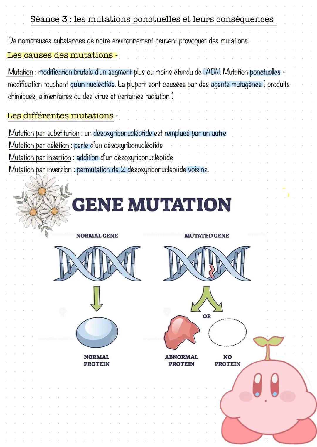 # Séance 1: la transcription
1. Prérequis sur les gènes et les protéines
La cellule
Nucléole
Mitochondrie
Appareil de Golgi
Centriole