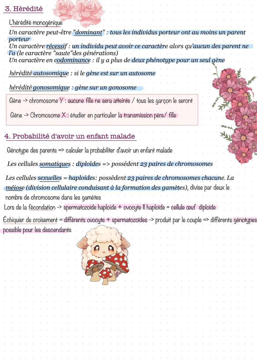 La transmission des caractères héréditaire
Chaque individu est unique, cependant nous pouvons observer des ressemblances au sein des famill