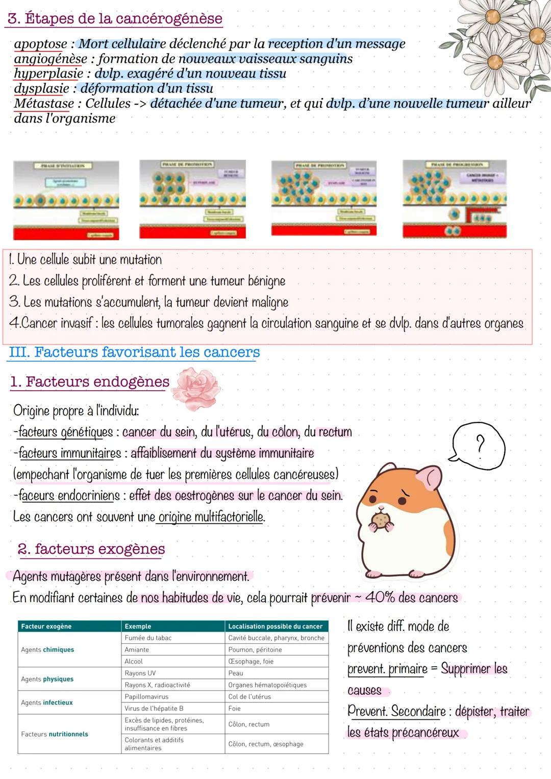 Séquence 4: Gènes et transmission de l'information
génétique II - Cancers
I. Les tumeurs
1. Tumeur bénigne
La T. B = bien circonscrite,