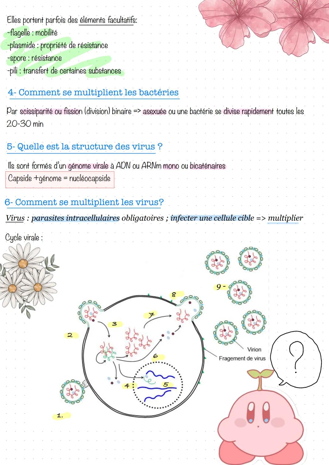 # Système immunitaire et défense de l'organisme
Partie 1- Les maladies infectieuses
1. L'immunologie: qu'est-ce que c'est ?
De nombreux