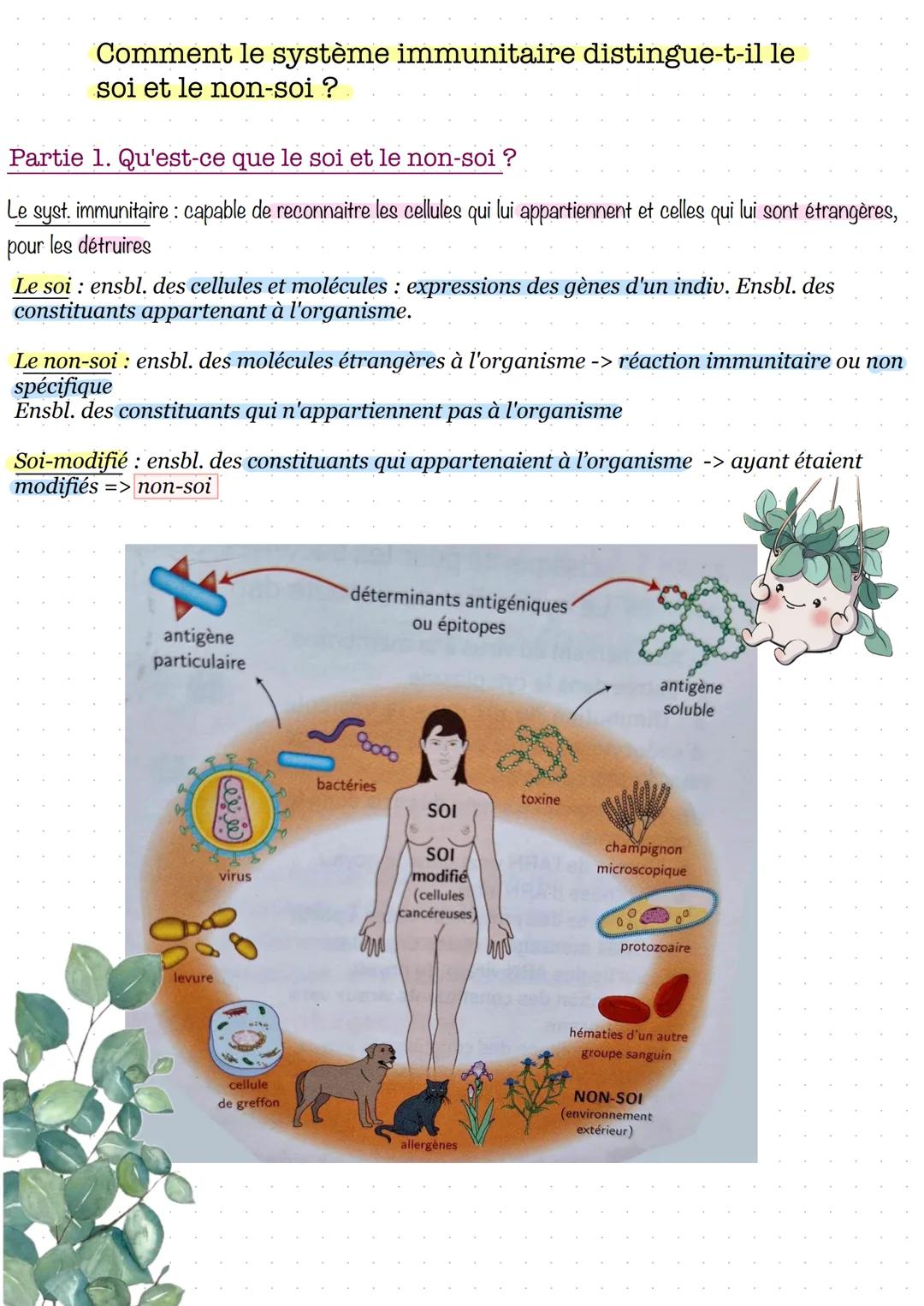 # Comment le système immunitaire distingue-t-il le
soi et le non-soi?
Partie 1. Qu'est-ce que le soi et le non-soi?
Le syst. immunitaire: