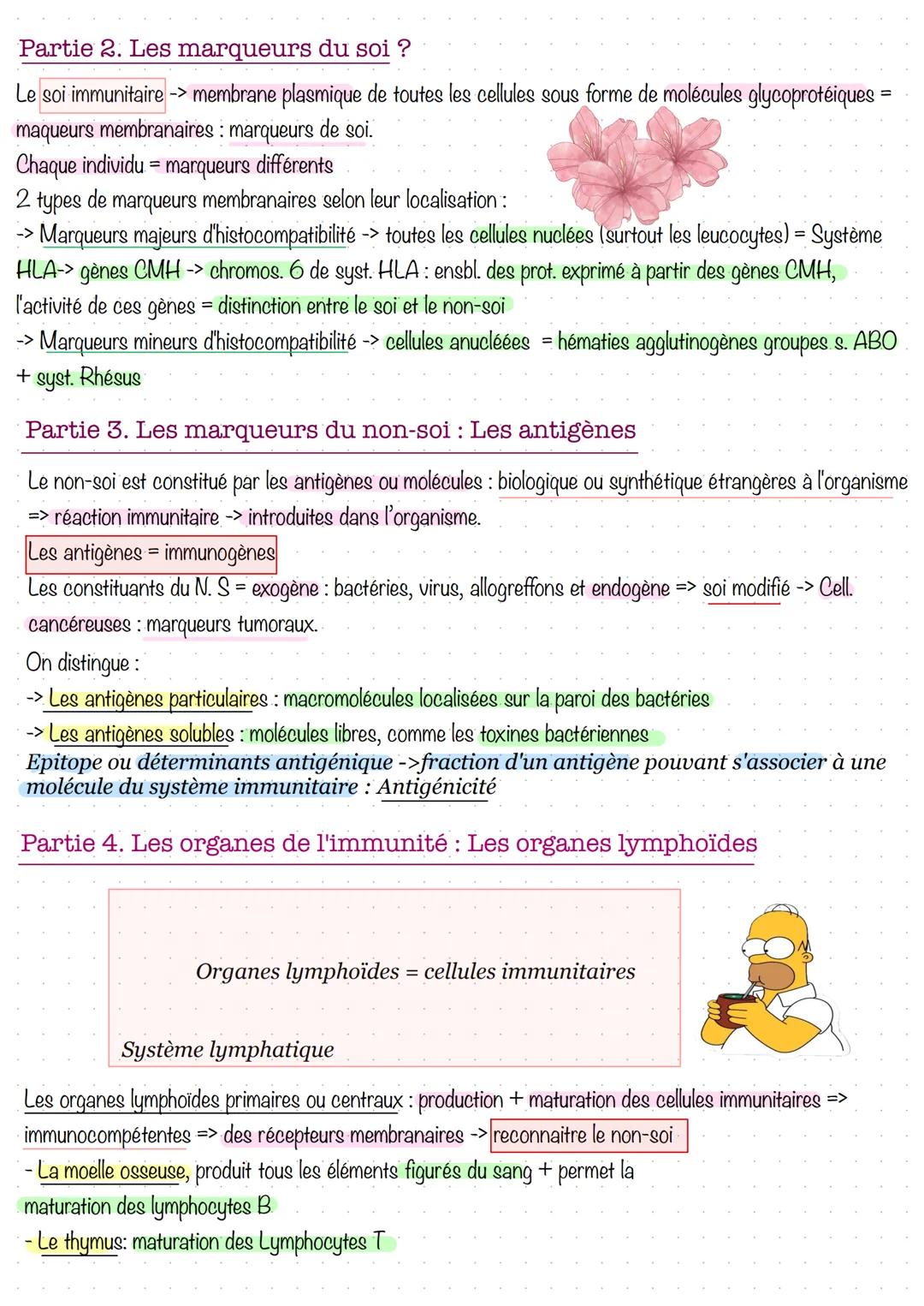 # Comment le système immunitaire distingue-t-il le
soi et le non-soi?
Partie 1. Qu'est-ce que le soi et le non-soi?
Le syst. immunitaire: